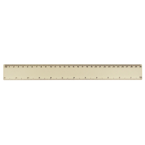 rHIPS.b 30cm Ruler